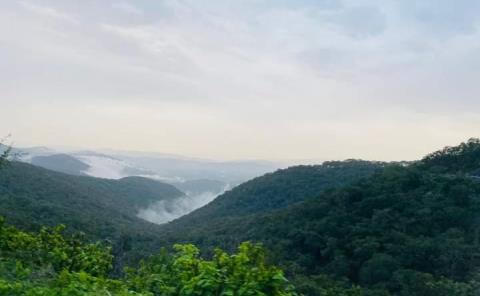 Llaman a proteger  sierra de San Ciro