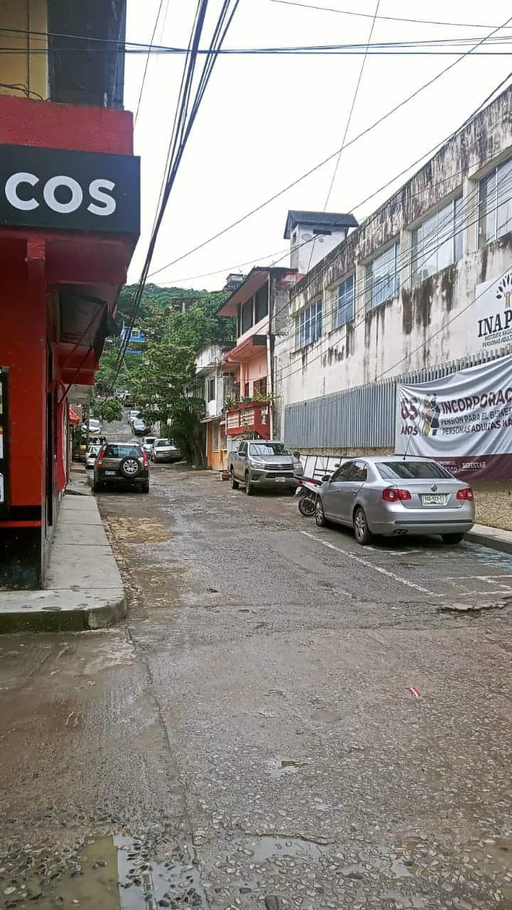 Quejas por orina de perro en Barrio del Carmen