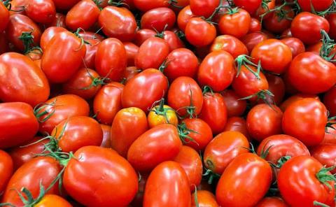 Se dispara el precio del tomate hasta 100%
