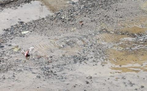 Denuncian fuga de agua en la calle Agustín Melgar
