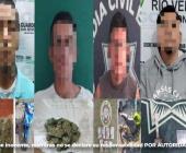 Varios detenidos por traer droga