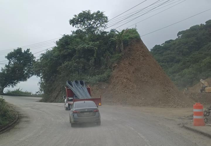 Preocupa a automovilistas posible caída de arboles