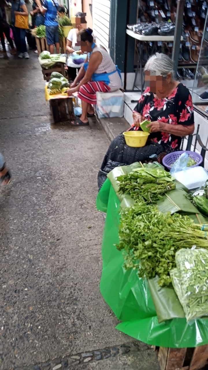 Lluvias favorecen cultivos de huertos