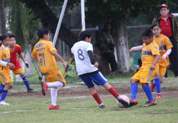 Barrera Constructores ganó 3-0 a San Rafael