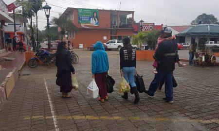 11°, la temperatura más baja del 2024
