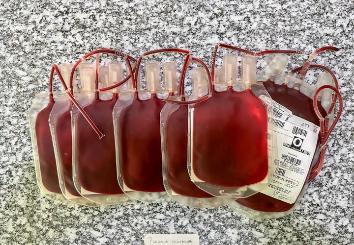 Con personal altamente capacitado, CETS alcanzó más de 12 mil donaciones de sangre
