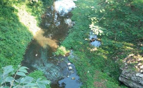 Agoniza arroyo de Matlapa; mucha contaminación