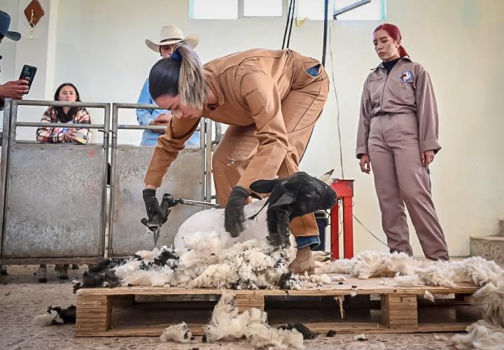 Capacita Saderh a ovicultores del Valle de Tulancingo