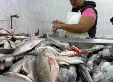 Pescado importado incrementa su precio