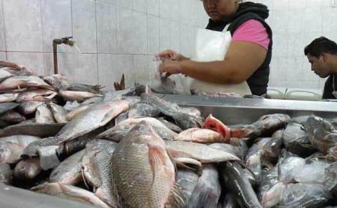 Pescado importado incrementa su precio
