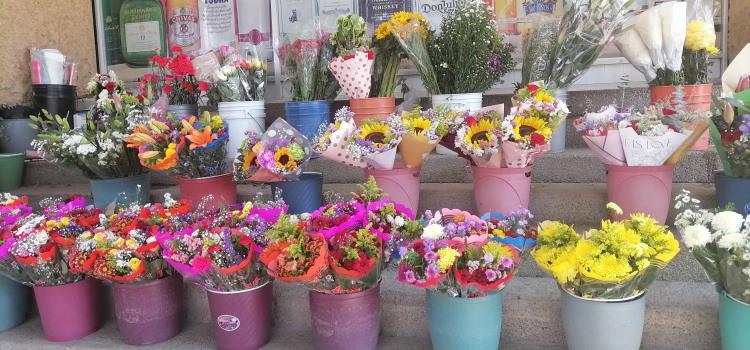 Incrementará venta de flores por San Valentín