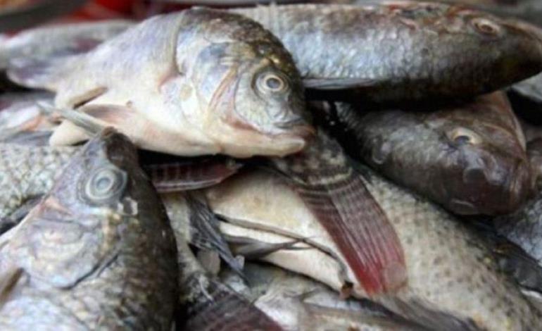 Sector Salud exhorta verificar productos del mar
