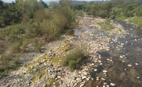 
Desciende el cauce del río en el Zacayahual
