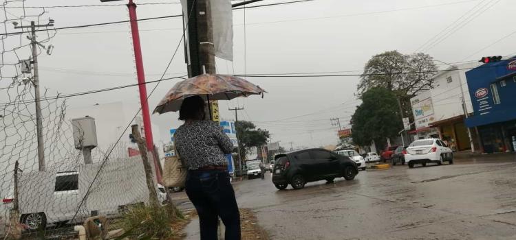 Cayeron 13 mm de lluvia en unas horas