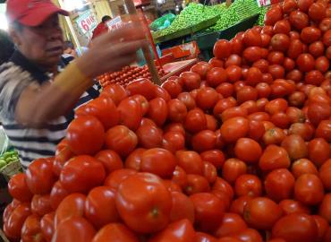 Bajo el precio del tomate se estabiliza economía