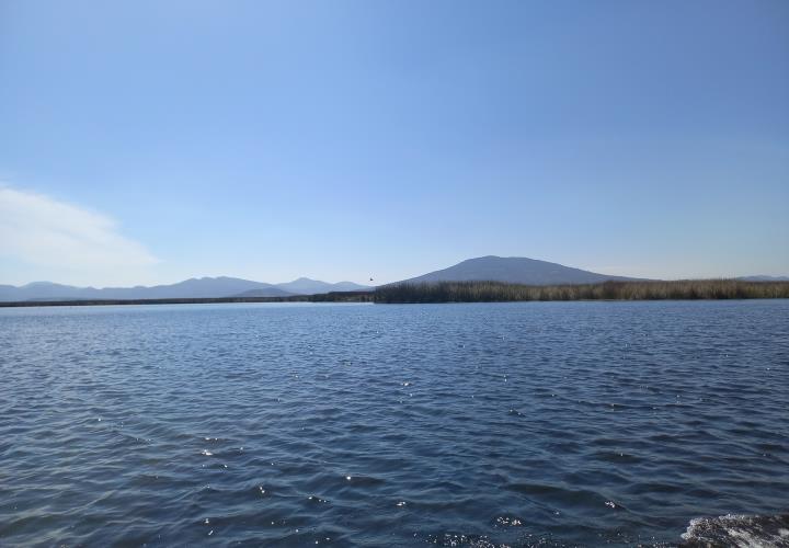 Laguna de Tecocomulco es un patrimonio ecológico