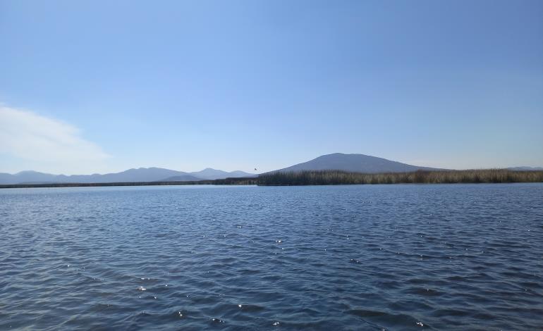 Laguna de Tecocomulco es un patrimonio ecológico