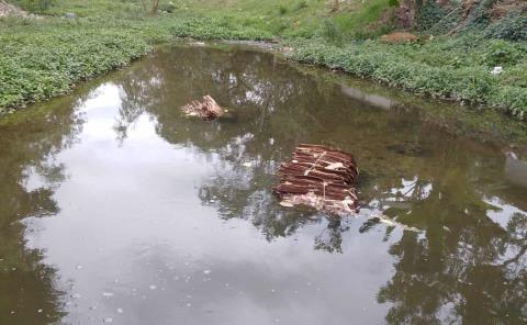 Matlapa enfrenta grave crisis de contaminación en el arroyo Acontla