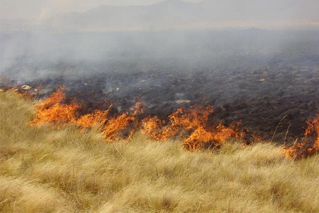 Incendio devastó tres hectáreas de pastizal