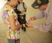 Aplican vacuna contra la rabia en Tehuetlán