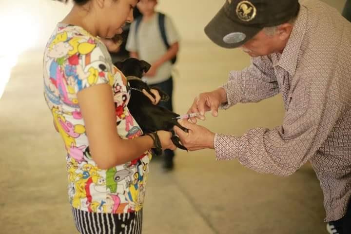 Aplican vacuna contra la rabia en Tehuetlán