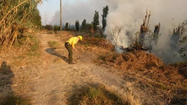 Quema de basura provocó incendio