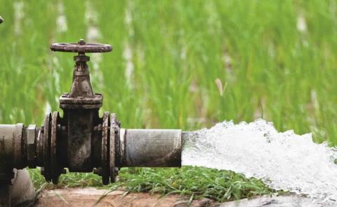 Cañeros roban el agua