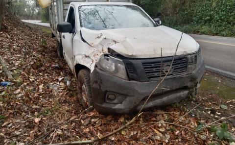 Chocó vehículo contra un árbol