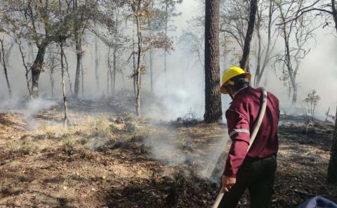 Atienden 35 incendios forestales en Hidalgo