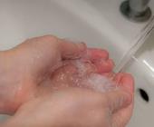 SSH pide aplicar medidas de higiene para evitar enfermedades