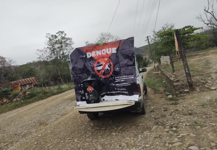 Hidalgo no reporta casos de dengue al primer trimestre de 2024