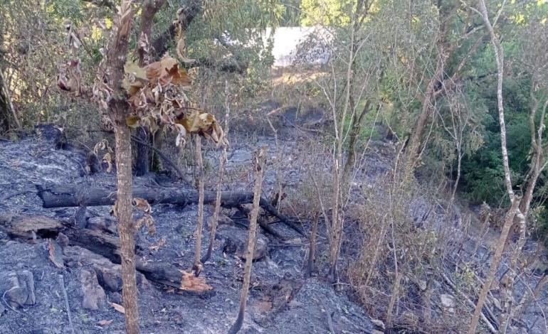 Incendio arrasó cuatro hectáreas   