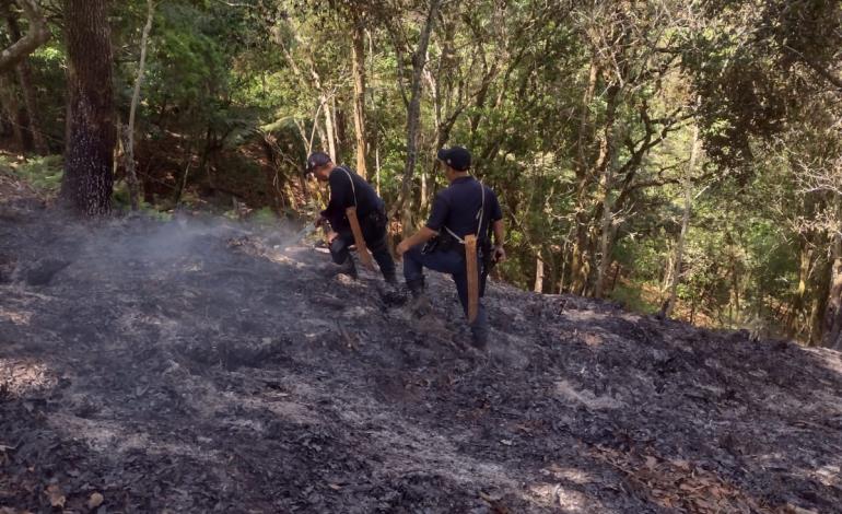 Incendios en el municipio de Tlanchinol