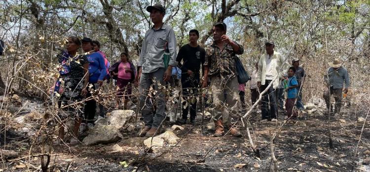 Ofrecieron asesoría  en protección forestal