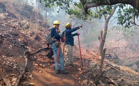 Fuego ha consumido 1,972 ha en este año