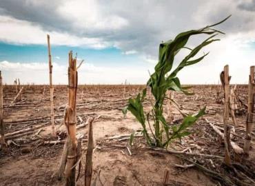 70% del país  sufre sequía