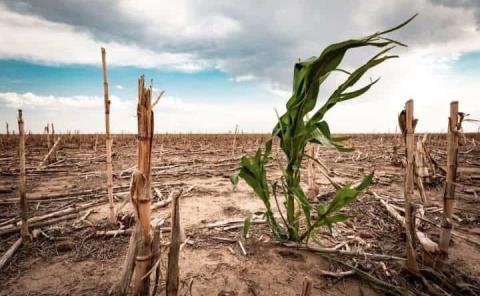 70% del país  sufre sequía