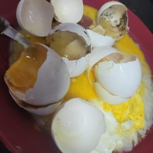 Huevos podridos dañados por ola de calor