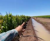 Agua de uso agrícola está en riesgo en ZM