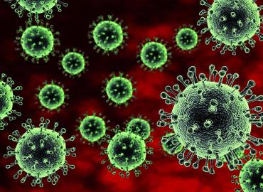 Se propaga el virus de gripe