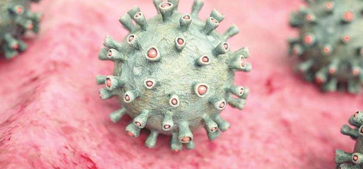 Ataca el rotavirus          