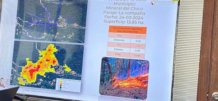 Reporte actualizado de incendios forestales en Hidalgo