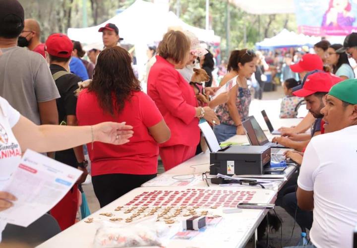 Piden a población registrar mascotas