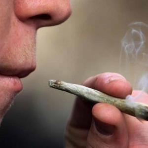 Marihuana será legal
