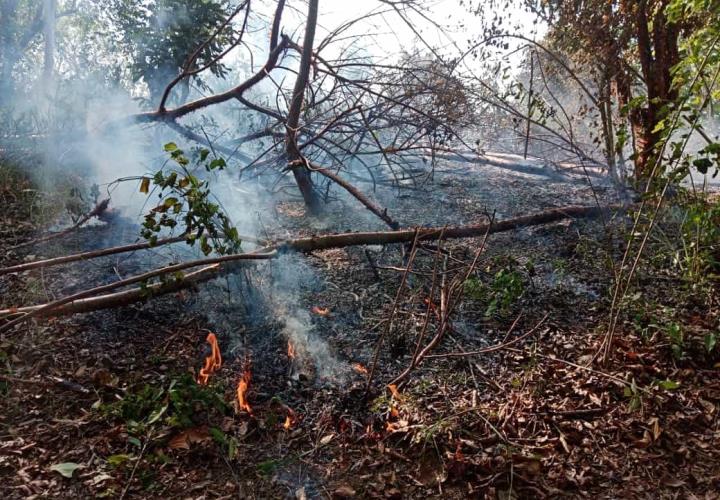 Un cortocircuito provoca incendio en Xicotla, Tamazunchale