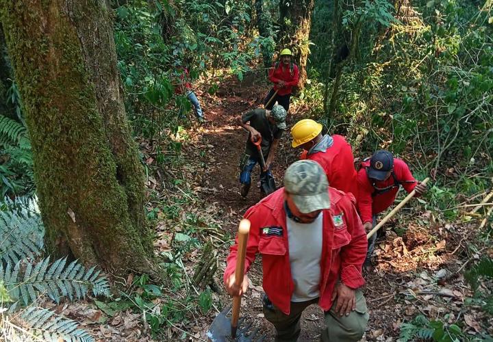 Incendios en San Bartolo Tutotepec y Tenango de Doria se encuentran en fase de confinamiento