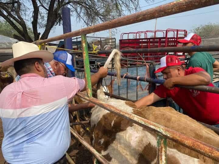 Veterinarios se capacitaron