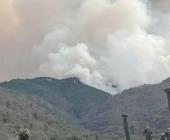Ejidatarios lamentan  incendios forestales 