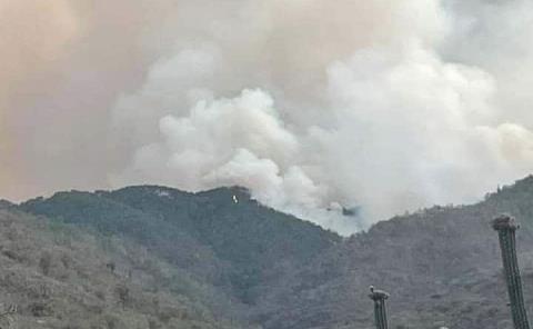 Ejidatarios lamentan  incendios forestales 
