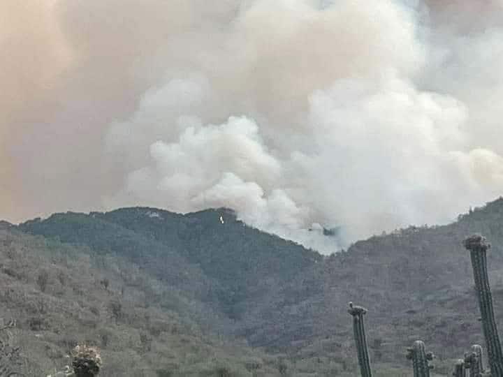 Ejidatarios lamentan  incendios forestales 